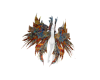 angel wings color