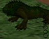 !A iguana