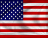 USA Flag on Pole