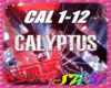 Calyptus RMX