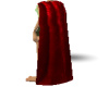 Red Cloak/cape