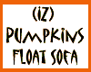 (IZ) Pumpkins Float Sofa