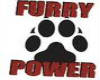 Furry Power
