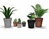 TXC Simple Plants