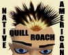 (KK)QUILL ROACH HEDRESS