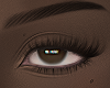 Zenda v2 Brows