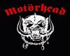 Motor Head Jacket