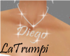 LL~Neckclace Diego