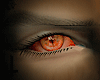 [G] Demon eyes IV