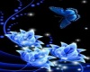 Blue rose n Butterfly