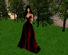 ~A-line Evening Gown Red