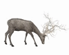 Winter deer 2 w/light