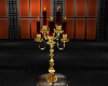 versace golden candl