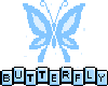 Butterfly16
