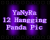 IYI12 Hangging Panda Pic
