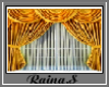 Raina.S Gold Window