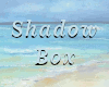 00 Shell Shadowbox