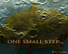 One Small Step...
