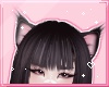 ℓ fluffy cat ears 2