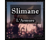 Slimane - L'armure