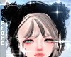 𝑨┃Black Bear ✮