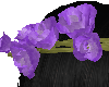 [DML] Lilac rose crown