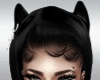 Black Cat  Hair