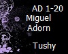 Miguel Adorn