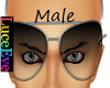 Silver Aviator Shades M