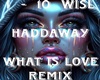 Haddaway - What is love