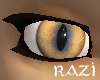 Real Bobcat Eyes (F)