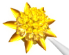 Gold Rose Bouquet Pose