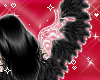 Wings Angela Black