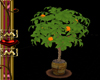 Orange Tree gold pot