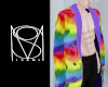 D | Rainbow Coat