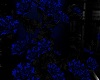 Dark Blue Roses anime