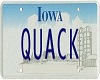{V} Quack Licence Plate