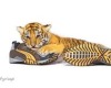*s* sooo tiger shoes