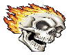 <AAA> Flaming Skull