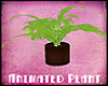 [SS] Animated Plant
