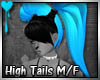 D~High Tails: Blue