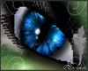 ((MA))Cat Eyes Blue
