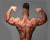 Perfect Muscle 2