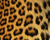 Cheetah sofa