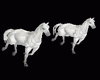 Horse Effect ♥