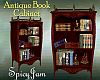 Antq Fancy Book Cabinet
