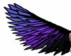 purple/blue/black wings