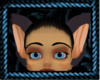 TADI ears