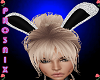 !PX ANIM. BUNNY EARS V2