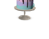V-IceCream Cake
